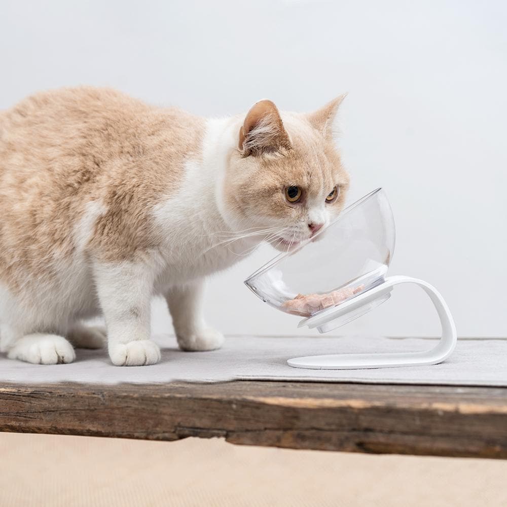 Elevated Cat Slow Feeder Bowl