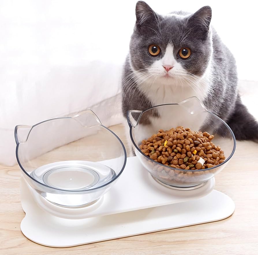 Elevated Cat Slow Feeder Bowl