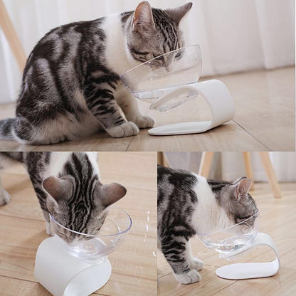 Elevated Cat Slow Feeder Bowl